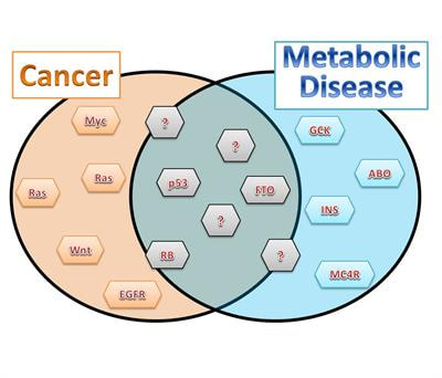 Cover image for research topic "Double-edged Swords: Genetic Factors That Influence The Pathogenesis of Both Metabolic Disease and Cancer"