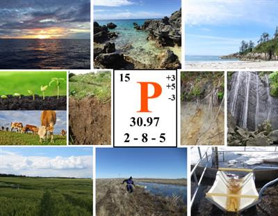 Cover image for research topic "Phosphorus Along the Soil-Freshwater-Ocean Continuum"