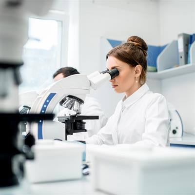 Cover image for research topic "Balancing Act: Exploring the Impact of Steroid Hormones, Diets/Supplements, and New Drugs on Renal Function"