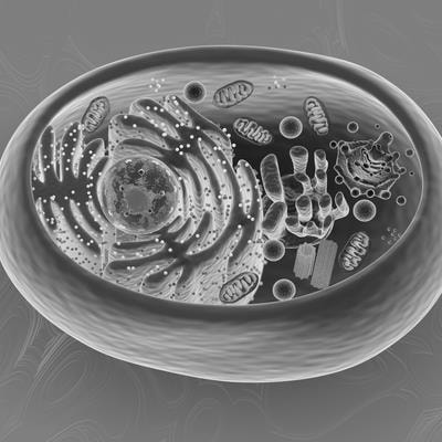 Cover image for research topic "Survival Strategies: Cellular Responses to Stress and Damage"