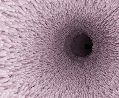 Cover image for research topic "Therapeutic and Protective Approaches to Gastrointestinal Tract Infections"