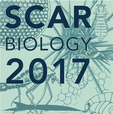 Cover image for research topic "Antarctic Biology: Scale Matters"