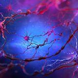 Cover image for research topic "Bioinformatics and Systems Biology Strategies in Disease Management with a Special Emphasis on Cancer, Alzheimer's Disease and Aging"