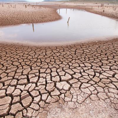 Cover image for research topic "Plant Ecophysiology: Responses to Climate Changes and Stress Conditions"