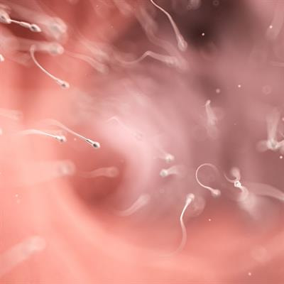 Cover image for research topic "Lifestyle and Environmental Factors and Human Fertility"