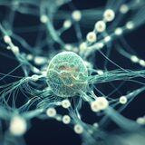 Cover image for research topic "The Application of Multi-omics Analysis in Translational Medicine"