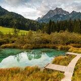 Cover image for research topic "Structure and Functioning of Alpine Treeline Ecosystems"