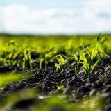 Cover image for research topic "Genomics-Driven Advances in Crop Productivity and Stress Resilience"
