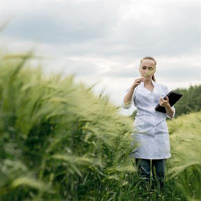 Cover image for research topic "Integrative Multi-omics and Artificial Intelligence (AI)-driven Approaches for Superior Nutritional Quality and Stress Resilience in Crops"