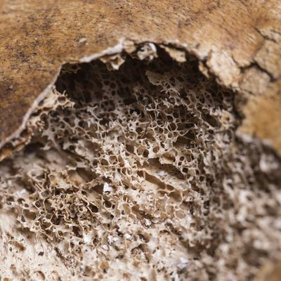 Cover image for research topic "Novel Sociological Methods and Practices of Engagement across Disability Communities"