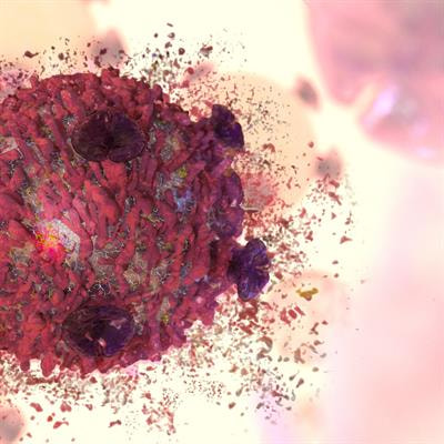 Cover image for research topic "Immune System Interactions in Hematological Tumor Microenvironments: Pathways to Innovative Treatments"