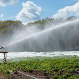 Cover image for research topic "Enhancing Agricultural Water Management: Techniques for Improving Crop Water Efficiency and Sustainability"
