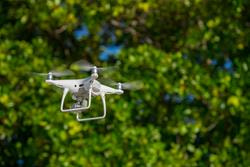 Cover image for research topic "Cutting-Edge Technologies Applications in Intelligent Phytoprotection: From Precision Weed and Pest Detection to Variable Fertilization Technologies"