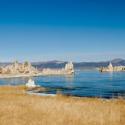 Cover image for research topic "Microbial Ecology and Biotechnological Potential of Alkaline Environments"