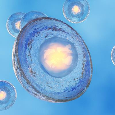 Cover image for research topic "External Factors Influencing Stem Cells’ Pluripotency, Senescence, and Differentiation"