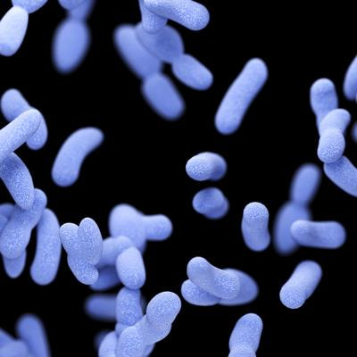 Cover image for research topic "Advancements in Synthetic Microbiomes for Enhancing Animal Health"