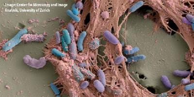 Cover image for research topic "Drinking Water Microbiome "