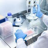 Cover image for research topic "Combination Therapies in Cancer Treatment: Enhancing Efficacy and Reducing Resistance"