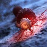 Cover image for research topic "Diagnosis and Therapy Pediatric Hematological Malignancies - Recent Progress - Volume II"