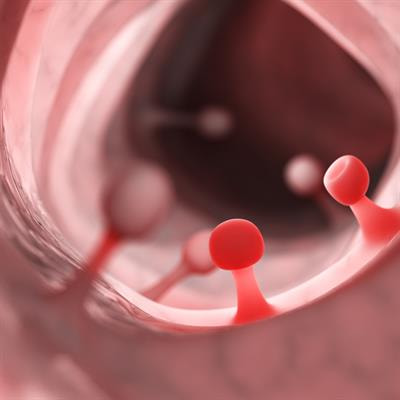 Cover image for research topic "Diet and Digestive Tract Cancers: Investigating the Nutritional Influences on Gastrointestinal Carcinogenesis"