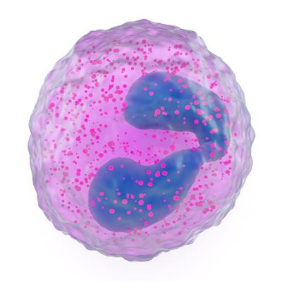 Cover image for research topic "Eosinophilic Esophagitis"