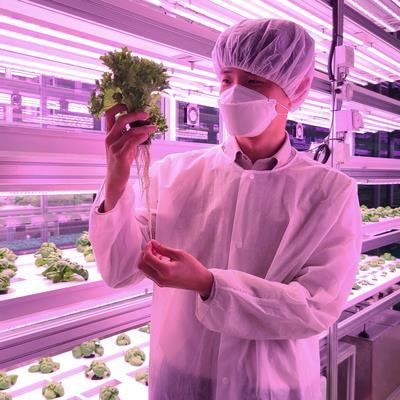 Cover image for research topic "Transforming Crop Resilience with Multi-Omics Approaches"