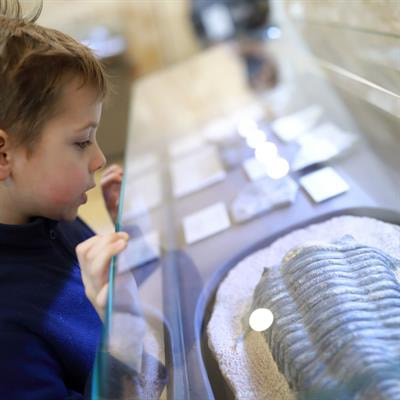 Cover image for research topic "Bone Health and Development in Children and Adolescents, volume II"