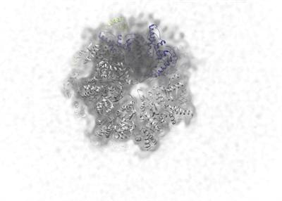 Cover image for research topic "Technical Advances in Cryo-Electron Microscopy"