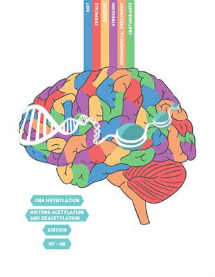 Cover image for research topic "Epigenetic Mechanisms Regulating Neural Plasticity"