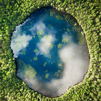 Cover image for research topic "Integrating Nature-based Solutions for Land Degradation Neutrality and Deriving Co-Benefits"