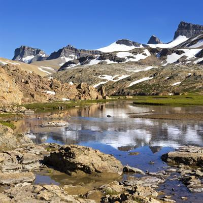 Cover image for research topic "Polluted Ecosystems: How Global Climate Change Drives Pollutant Dynamics in Aquatic and Terrestrial Ecosystems"