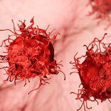 Cover image for research topic "Emerging Trends in Cancer Research: Diagnostic and Therapeutic Breakthroughs"