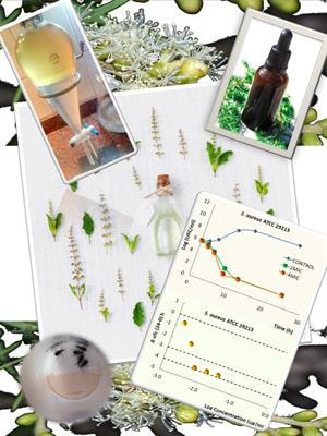 Cover image for research topic "Phytotherapeutic Alternatives in Veterinary Medicine"