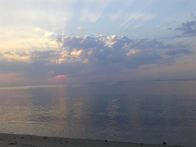 Cover image for research topic "Living Along Gradients: Past, Present, Future"