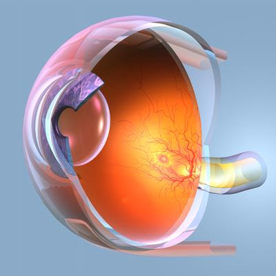 Cover image for research topic "Updates in Ocular Therapeutics and Surgery, volume IV"
