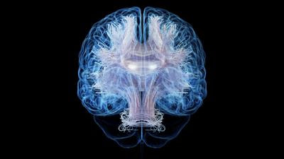 Cover image for research topic "Current Challenges and Future Perspectives in Neuro-Oncological Imaging"