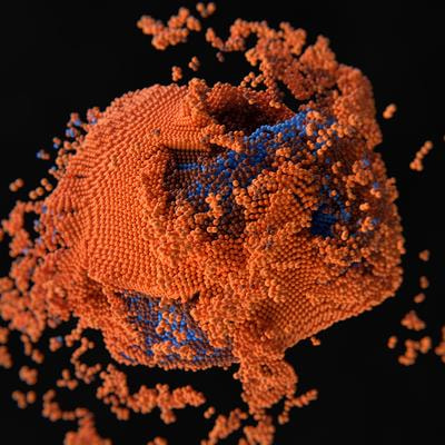 Cover image for research topic "Reviews in Cell Death Research"