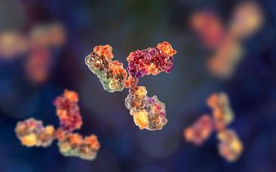 Cover image for research topic "Autoimmune Diseases: from molecular mechanisms to therapy development"