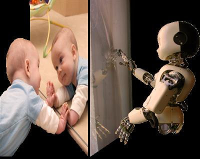Cover image for research topic "Body Representations, Peripersonal Space, and the Self: Humans, Animals, Robots"