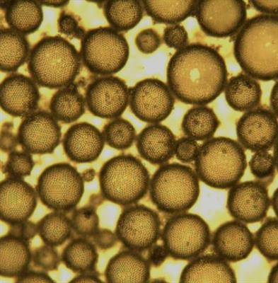 Cover image for research topic "Particles at Fluid Interfaces"