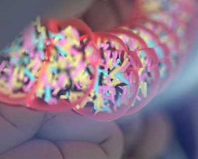 Cover image for research topic "The Animal Microbiome in Health and Disease"
