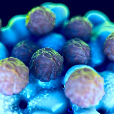 Cover image for research topic "Advances in Perinatal Stem Cells Research and Applications"