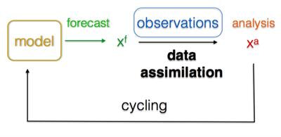 Cover image for research topic "Data Assimilation and Control: Theory and Applications in Life Sciences"