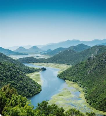 Cover image for research topic "What’s Ahead: Navigating the Future of Environmental Science"