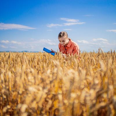 Cover image for research topic "Surviving and Thriving: How Crops Perceive and Respond to Temperature Stress Volume II"