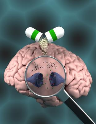 Cover image for research topic "Serotonin, Receptors and Transporters: Exploring New and Known Signaling Pathways to Improve the Efficacy of Antidepressant Treatment"
