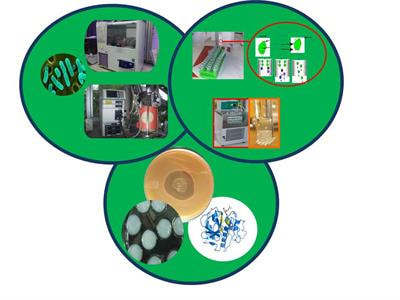 Cover image for research topic "Progress in Microbial Biotechnology: Bioproducts Tailored to Application"