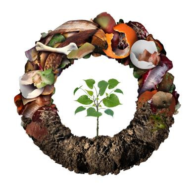 Cover image for research topic "Treatment of organic waste in the framework of circular economy"