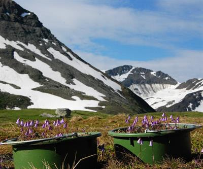 Cover image for research topic "Responses to Climate Change in the Cold Biomes"