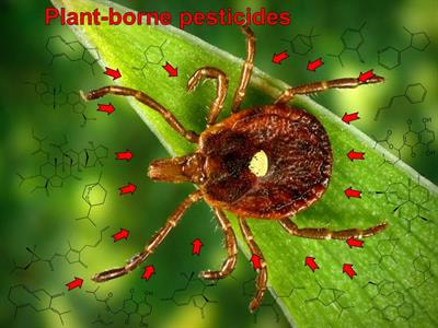 Cover image for research topic "Plant Secondary Metabolites in the Fight against Arthropod Pests and Parasites"